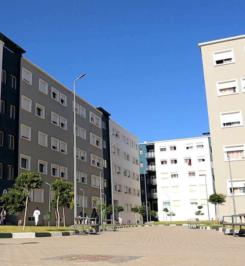 Divi-Image-Hover-Hero-Image-1-1